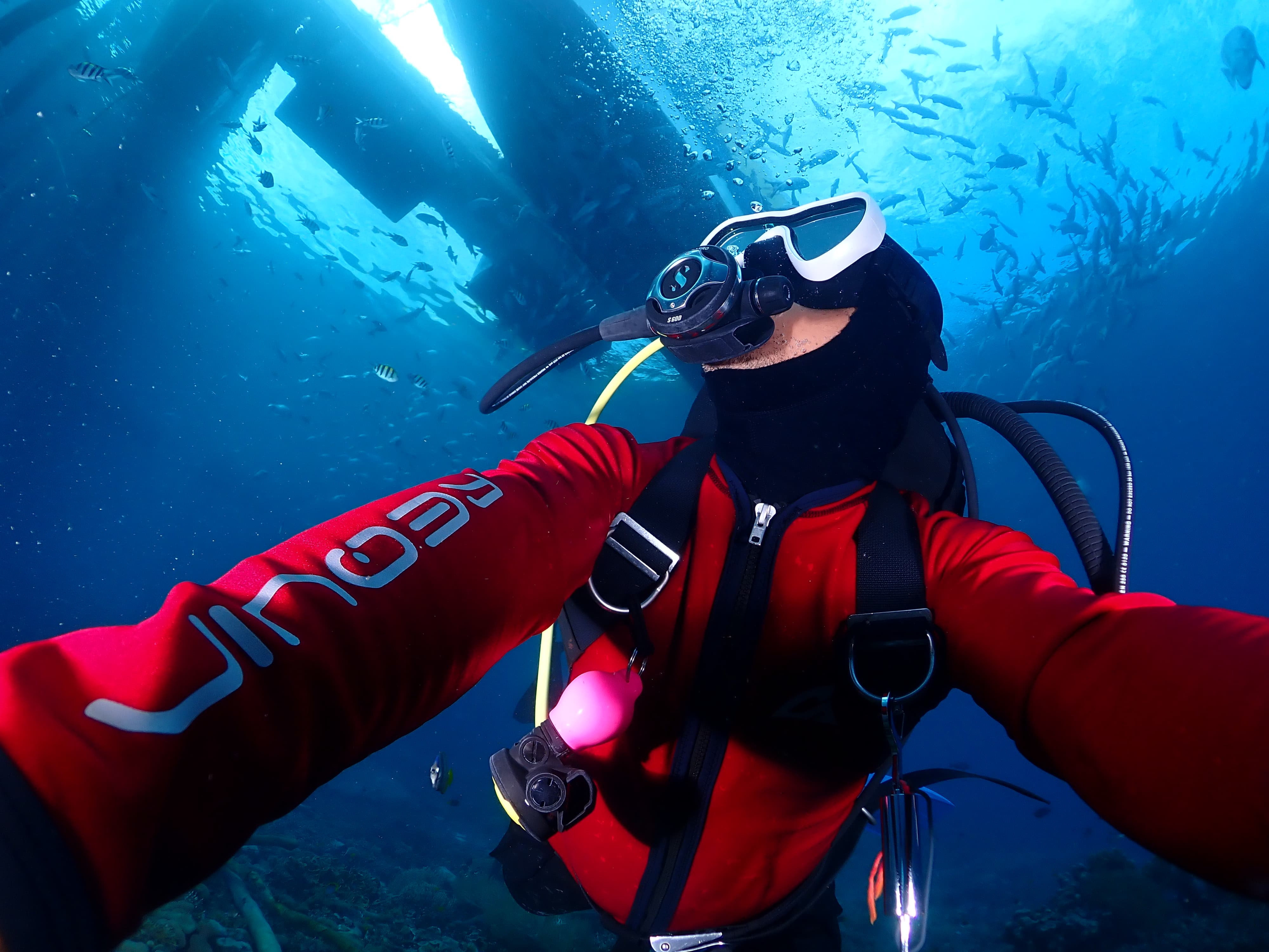 Raja Ampat Underwater Sawanderek